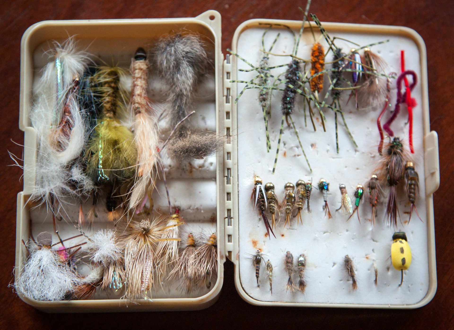 The Essential Fishing Gear Every Angler Needs The Essential Fishing Gear Every Angler Needs